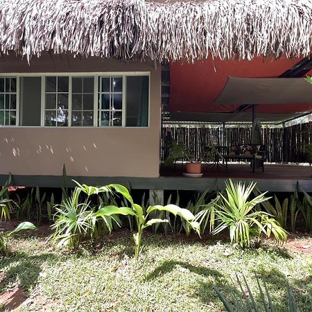 Monkey Lodge Panama Chilibre Eksteriør bilde