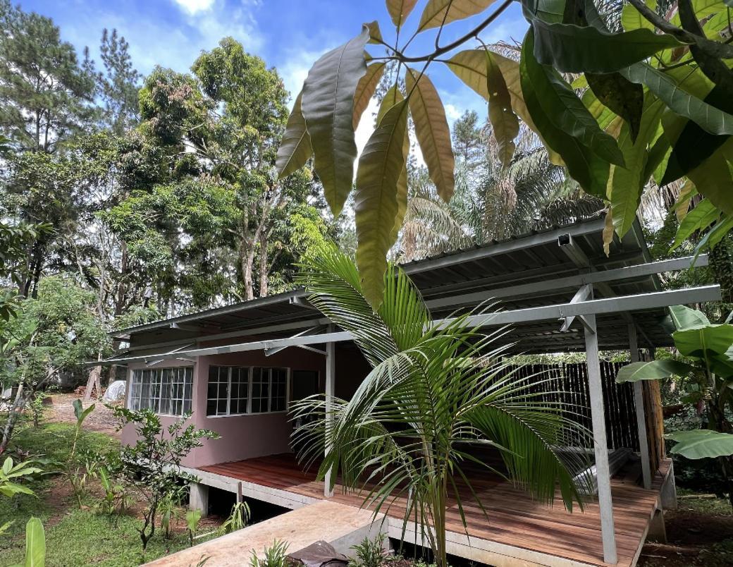 Monkey Lodge Panama Chilibre Eksteriør bilde