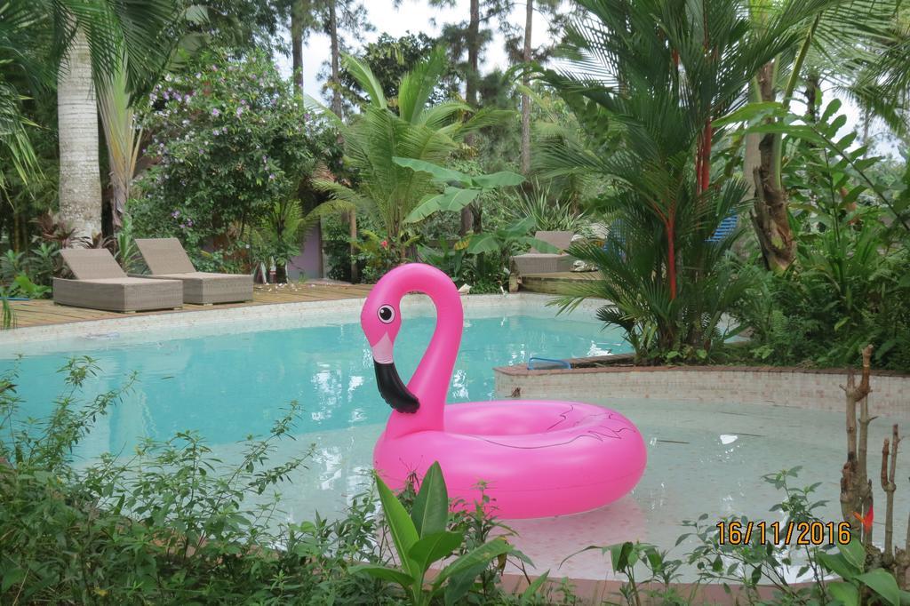 Monkey Lodge Panama Chilibre Eksteriør bilde