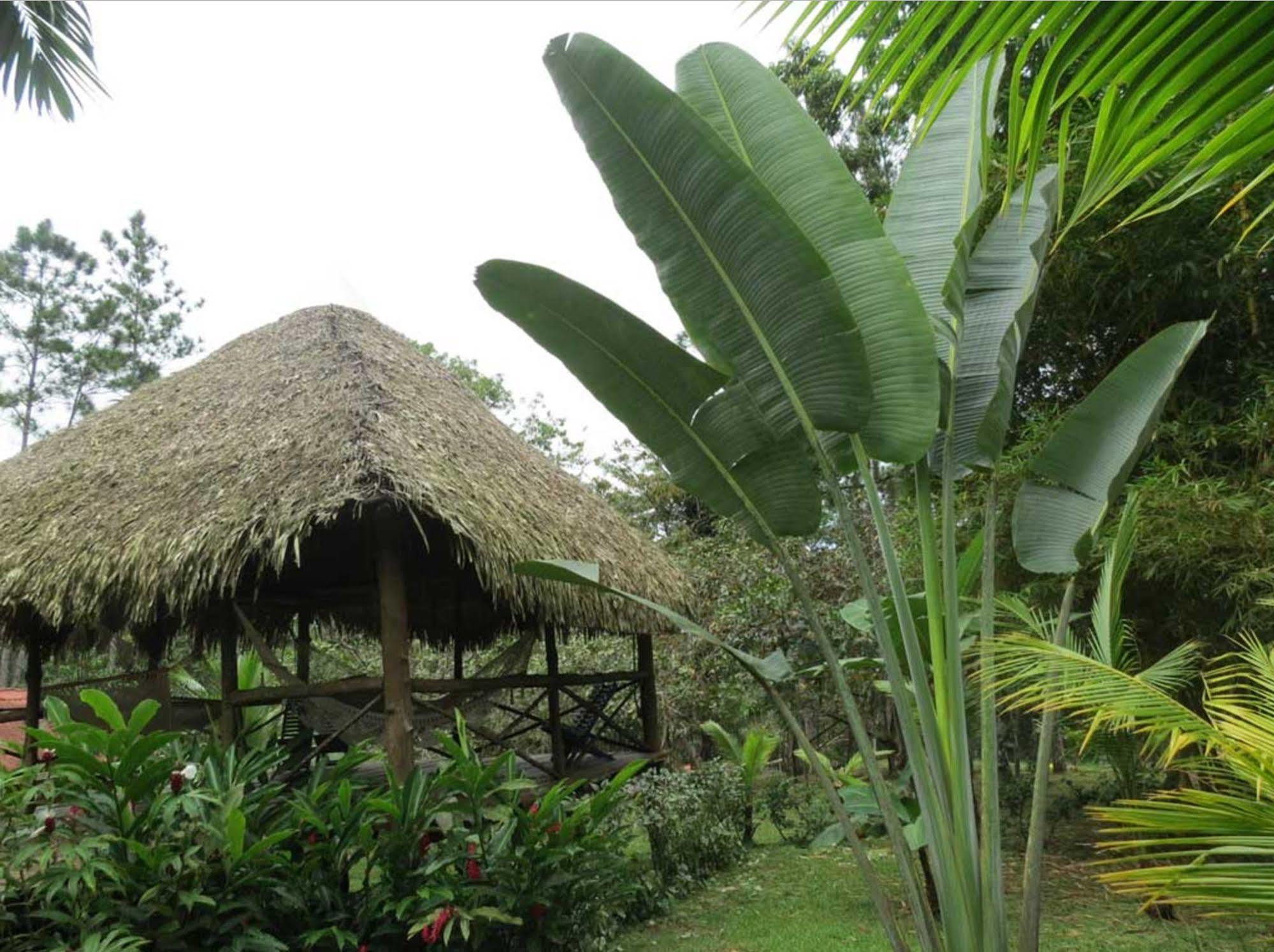 Monkey Lodge Panama Chilibre Eksteriør bilde