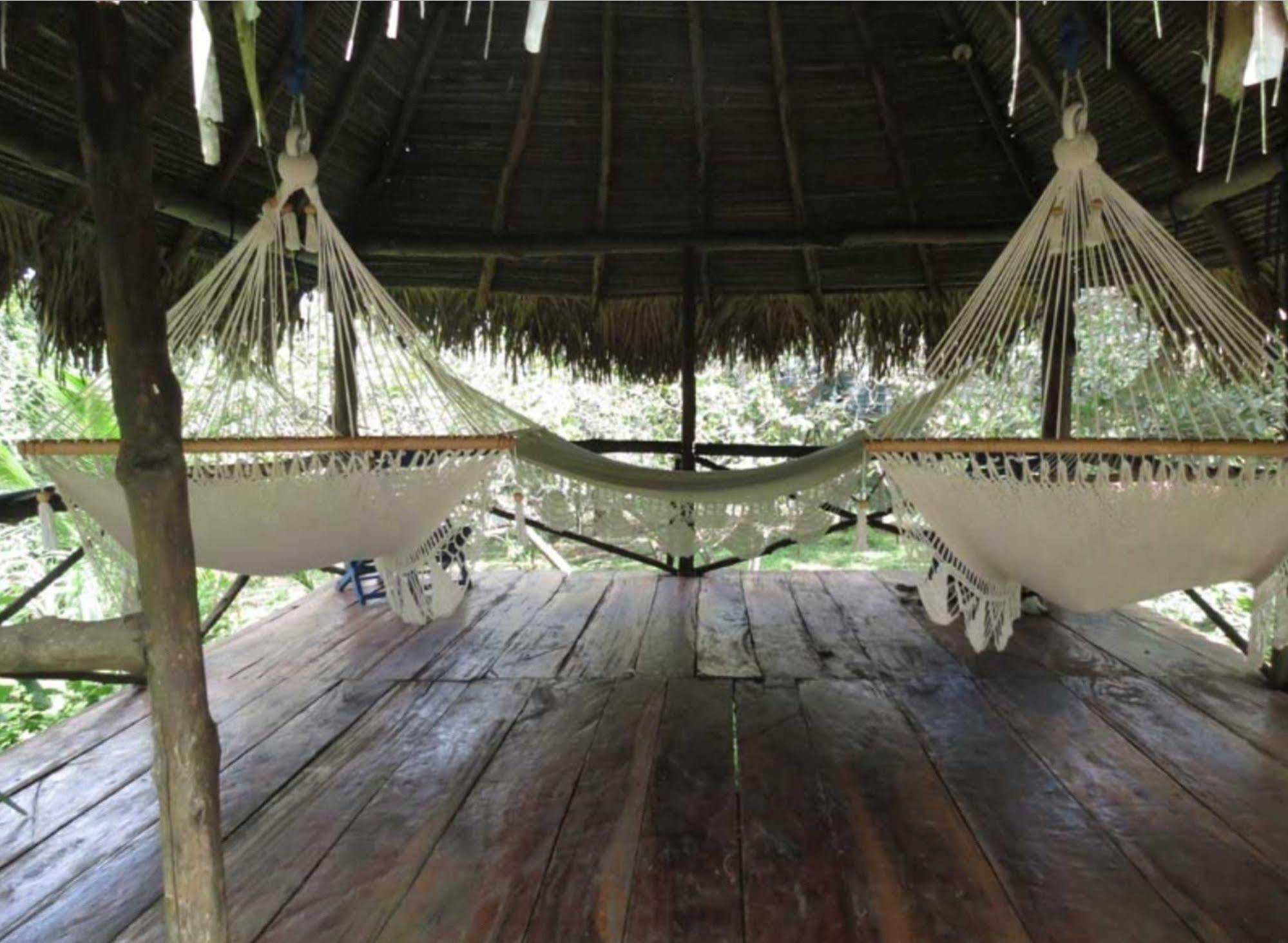 Monkey Lodge Panama Chilibre Eksteriør bilde